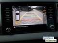 Skoda Karoq Drive 1.0 TSI 85 KW AHK MATRIX ASSIST RKAM Grigio - thumbnail 19