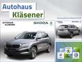 Skoda Karoq Drive 1.0 TSI 85 KW AHK MATRIX ASSIST RKAM Grigio - thumbnail 1