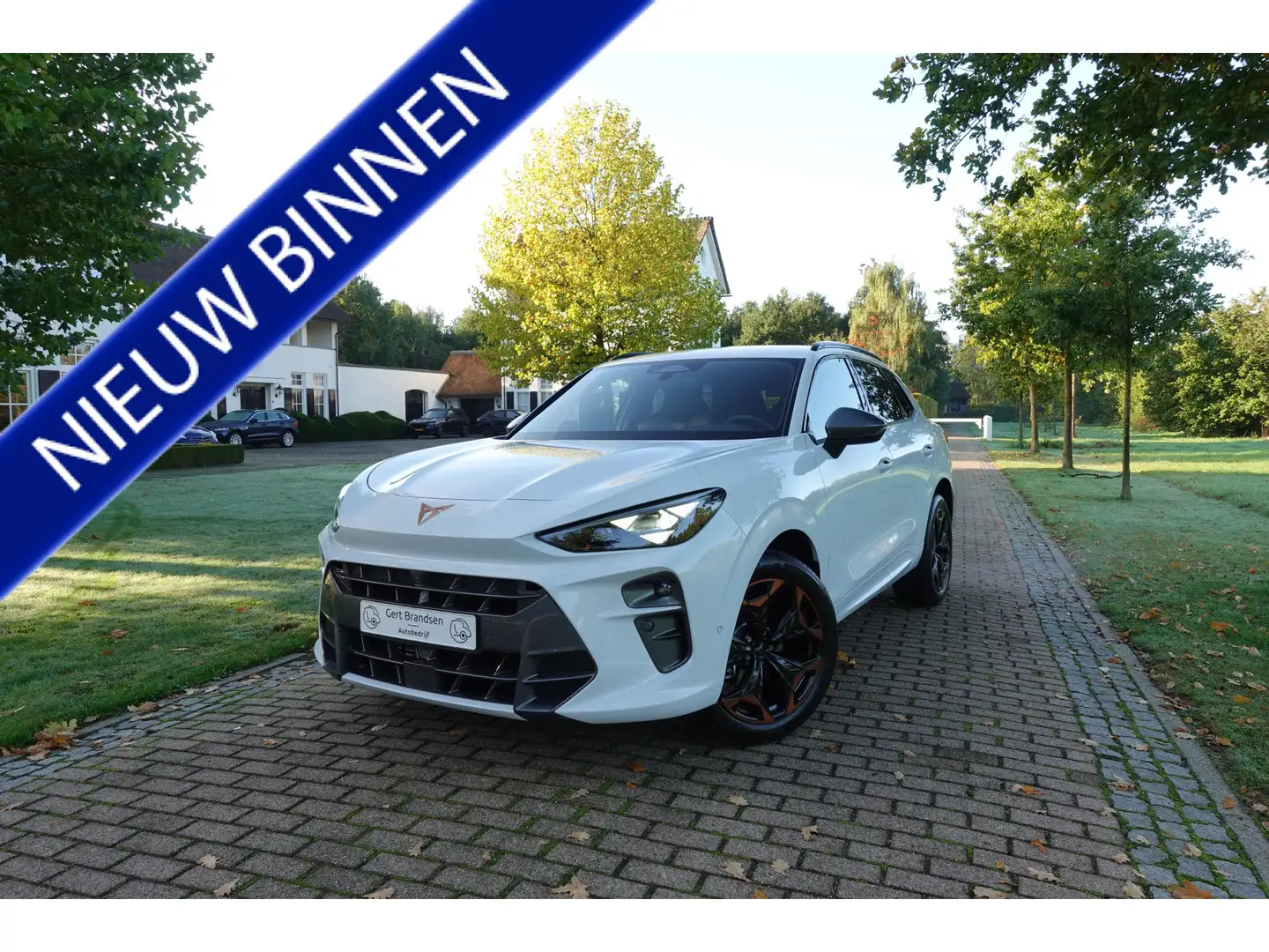 CUPRA Terramar 1.5 TSI e-Hybrid Business | 360° Camera | Stoelver - 1