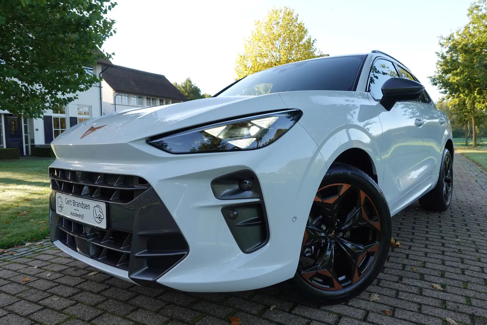 CUPRA Terramar 1.5 TSI e-Hybrid Business | 360° Camera | Stoelver - 2