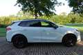 CUPRA Terramar 1.5 TSI e-Hybrid Business | 360° Camera | Stoelver - thumbnail 10