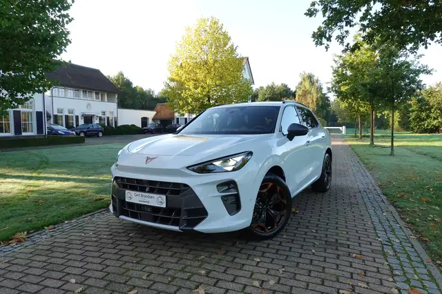 CUPRA Terramar 1.5 TSI e-Hybrid Business | 360° Camera | Stoelver