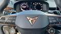 CUPRA Terramar 1.5 TSI e-Hybrid Business - thumbnail 17