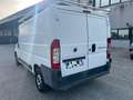 Fiat Ducato 35 2.2 MJT PM-TN Furgone Blanc - thumbnail 1