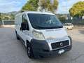 Fiat Ducato 35 2.2 MJT PM-TN Furgone Blanc - thumbnail 10