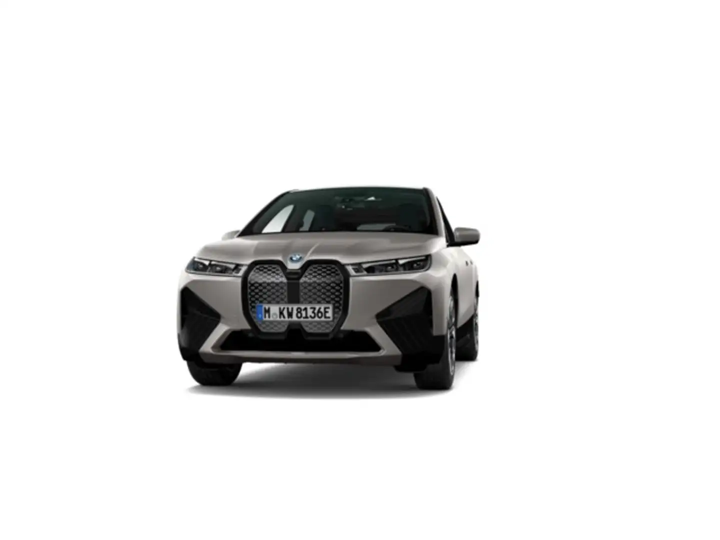 BMW iX xDrive 40 Grigio - 1