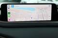 Mazda CX-30 2.5 e-SkyActiv-G M Hybrid Homura Camera Adaptive C Gris - thumbnail 9