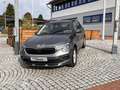 Skoda Kamiq 1,0TSI DSG Edition AHK Alu SHZG PDC NSW LE Grau - thumbnail 2