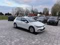 Volkswagen Golf 1.0 TSI EVO Life ANCHE NEOPATENTATI Bianco - thumbnail 7