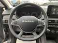 Dacia Sandero Stepway Expression MY24 TCe 100 GPL-PACK CITY PLUS Gris - thumbnail 11