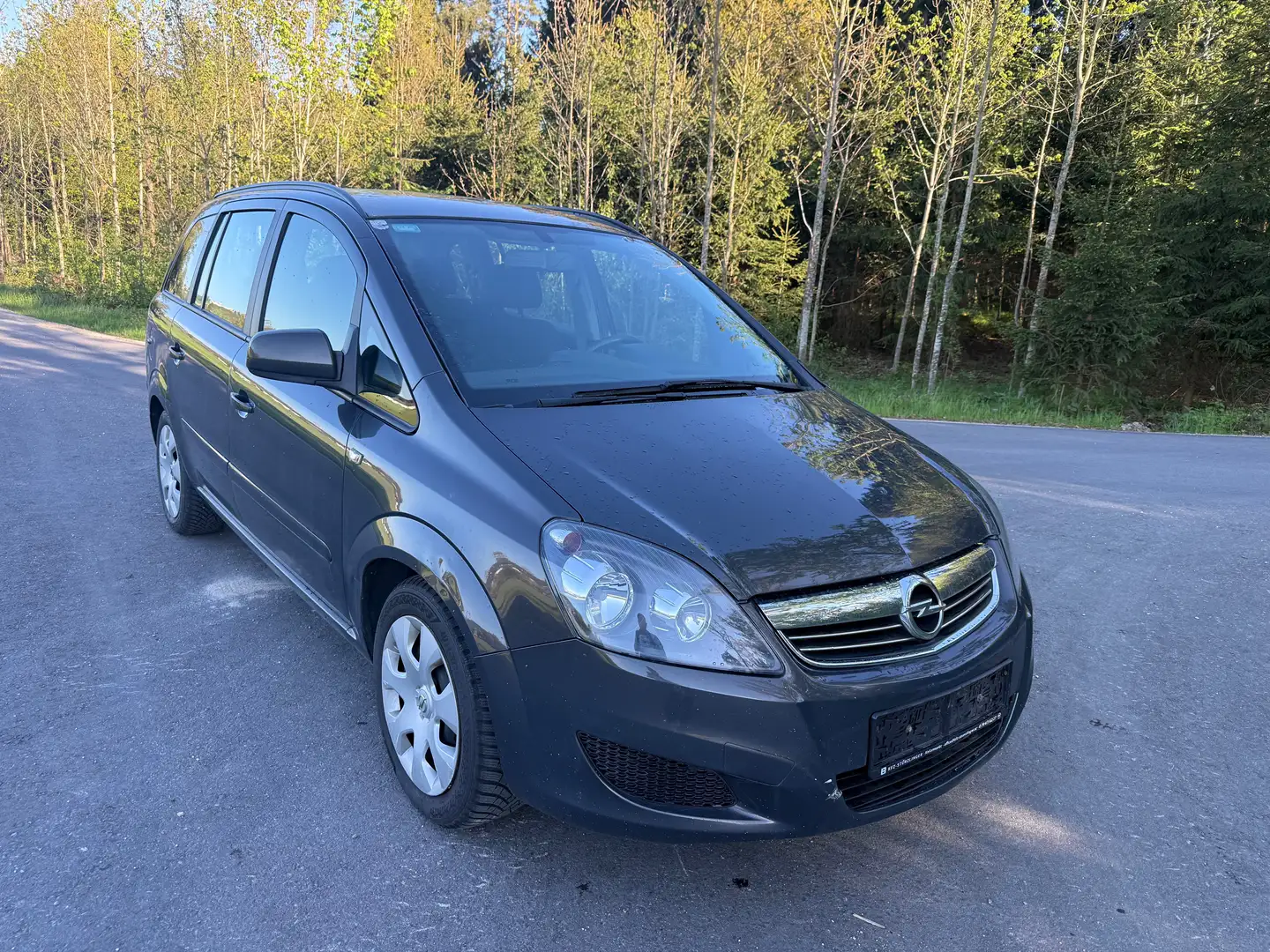 Opel Zafira ( Reserviert ) Grau - 2