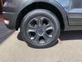 Ford EcoSport EcoSport 1.0 ecoboost Titanium S 125cv Grau - thumbnail 10