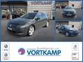 Volkswagen Golf VIII Lim. Active Grau - thumbnail 1