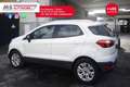 Ford EcoSport Ford EcoSport 1.5 110 CV Plus 82KW ANNO 2017 Bianco - thumbnail 15