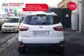 Ford EcoSport Ford EcoSport 1.5 110 CV Plus 82KW ANNO 2017 Bianco - thumbnail 7