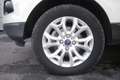 Ford EcoSport Ford EcoSport 1.5 110 CV Plus 82KW ANNO 2017 Bianco - thumbnail 5