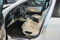 BMW 545 e xDrive M-SPORT/VOLLAUSSTATTUNG Weiß - thumbnail 12