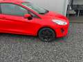 Ford Fiesta verschiedene Modelle vorrätig Rot - thumbnail 2