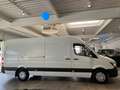 Mercedes-Benz Sprinter 316 CDI Maxi Hoch+Lang*1-Hand*Garantie* Weiß - thumbnail 11