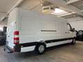 Mercedes-Benz Sprinter 316 CDI Maxi Hoch+Lang*1-Hand*Garantie* Weiß - thumbnail 18