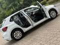 Volkswagen Polo Comfortline Klima 1 Hand Blanc - thumbnail 10
