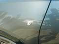 Alfa Romeo Tonale 1.5 T4 48V MHEV VGT DCT Grau - thumbnail 13