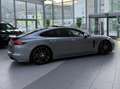 Porsche Panamera 4 E-Hybrid // Sport Design PKT // Sport AGA // Silber - thumbnail 20
