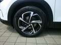 Citroen C5 Aircross Shine BHDI130 EAT8  Automatik Weiß - thumbnail 9