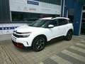 Citroen C5 Aircross Shine BHDI130 EAT8  Automatik Weiß - thumbnail 1