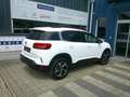 Citroen C5 Aircross Shine BHDI130 EAT8  Automatik Weiß - thumbnail 6