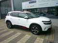 Citroen C5 Aircross Shine BHDI130 EAT8  Automatik Weiß - thumbnail 8