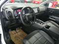 Citroen C5 Aircross Shine BHDI130 EAT8  Automatik Weiß - thumbnail 10