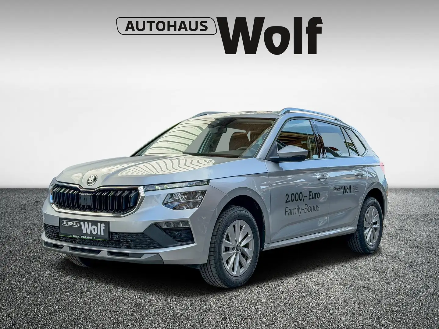 Skoda Kamiq Selection TSI Silber - 1
