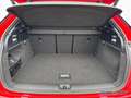 Audi Q2 40 TFSI qu. - 2 x S line - ACC - KAMERA - LED Rood - thumbnail 14