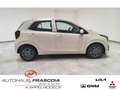 Kia Picanto 1.0 VISION Navi PDC SHZ Rückfahrkam Bluetooth Appl Beige - thumbnail 4