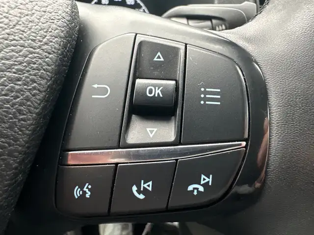Ford Transit Custom view 10
