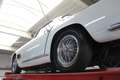 Maserati Coupe 3500 GT Touring PRICE REDUCTION One of 50 first pr Weiß - thumbnail 24