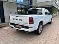 RAM 1500 LIMITED 5.7L V8  Pronta Consegna Bianco - thumbnail 4