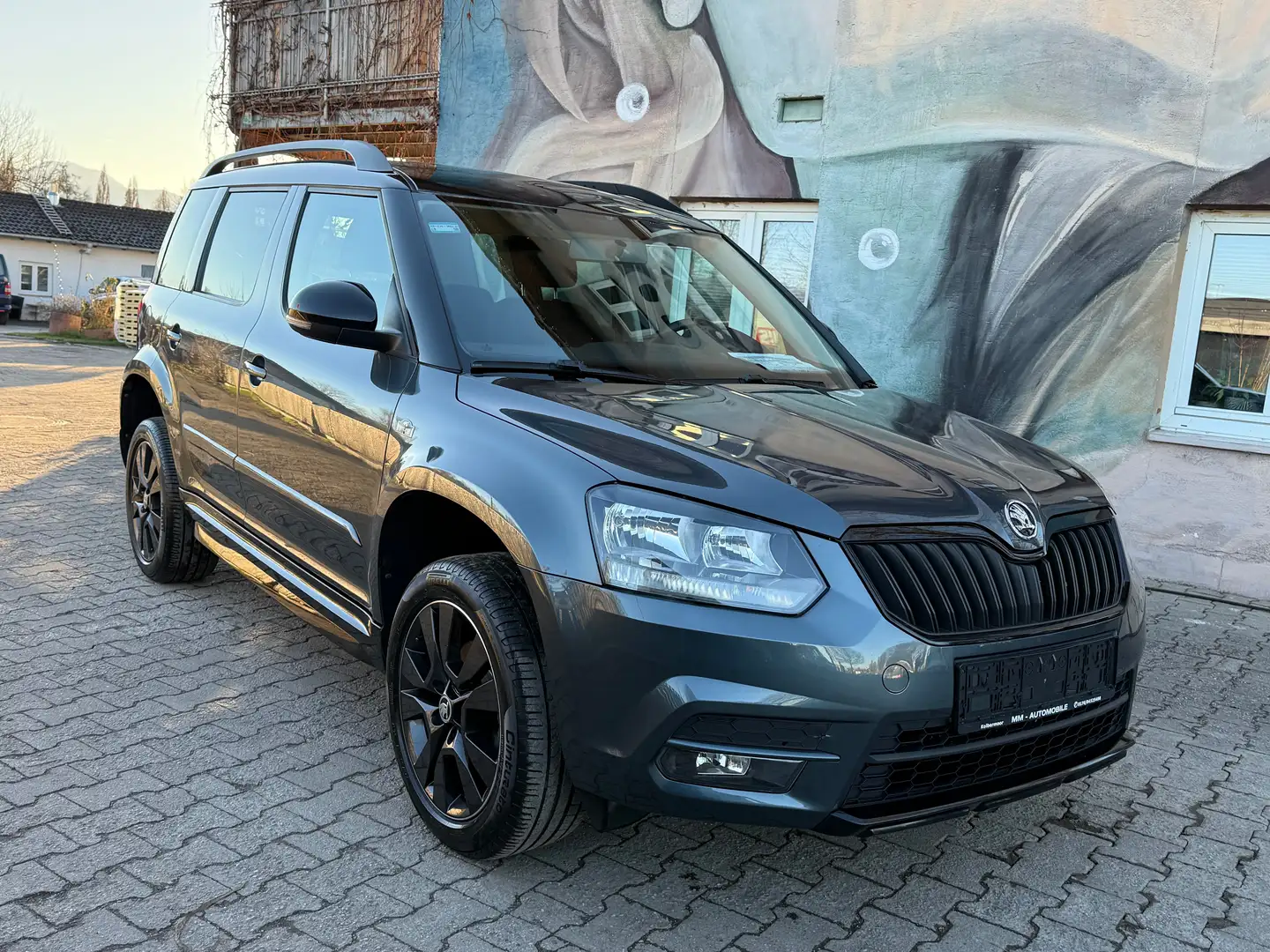Skoda Yeti Ambition Grau - 1