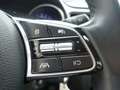 Kia Ceed SW / cee'd SW ceed SW 1,5 TGDI Silber Navi,RFK uvm.... Schwarz - thumbnail 18