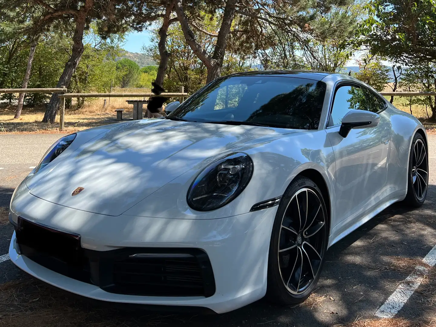 Porsche 992 911 Carrera*Sport Chrono*Bose*Als nieuw*PPF-Xpel* - 1