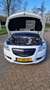 Opel Insignia 2.8 T Cosmo 4x4 Wit - thumbnail 10