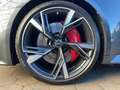 Audi RS6 RS6 Avant quattro tiptr. Sportabgas Kamera Matri Gris - thumbnail 16