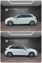 Audi A3 Sportback sport S-Tronic|PANO|BI-XENON|PDC Weiß - thumbnail 25