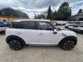 MINI Cooper D Countryman Cooper D All4 Teilleder Xenon Navi Panorama Weiß - thumbnail 4