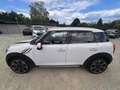 MINI Cooper D Countryman Cooper D All4 Teilleder Xenon Navi Panorama Weiß - thumbnail 10