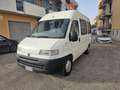 Fiat Ducato PULLMINO 9 POSTI VERSIONE ALTA Blanco - thumbnail 1