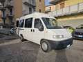 Fiat Ducato PULLMINO 9 POSTI VERSIONE ALTA Blanco - thumbnail 3