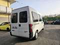Fiat Ducato PULLMINO 9 POSTI VERSIONE ALTA Blanco - thumbnail 5