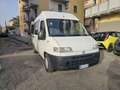 Fiat Ducato PULLMINO 9 POSTI VERSIONE ALTA Blanco - thumbnail 2
